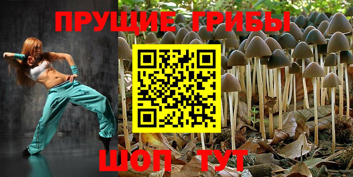 Галлюциногенные грибы мухоморы  Вход с VPN  Красноармейск 