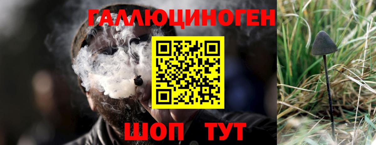 Псилоцибиновые грибы мицелий Красноармейск